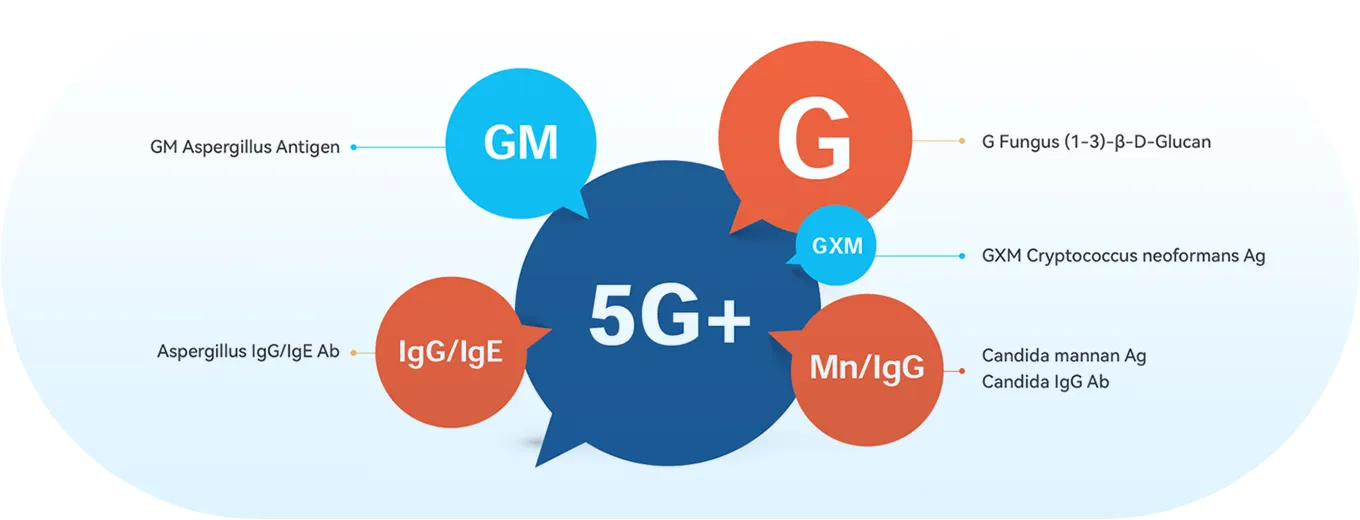 حل اختبار لوحات ''5G+''