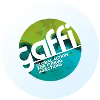 GAFFI