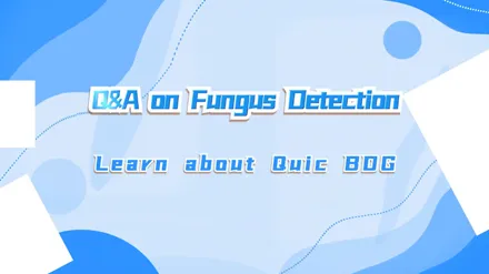 أسئلة وأجوبة حول الكشف عن الفطريات---تعرّف على Quic BDG